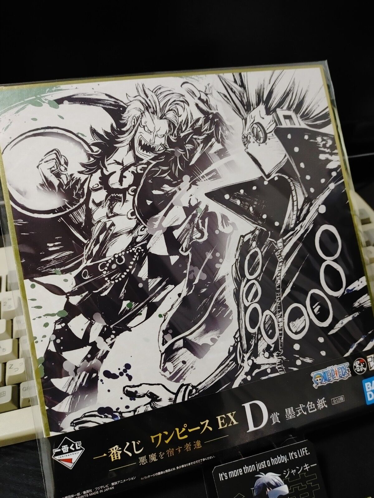 Anime One Piece EX Shikishi Display Board Japan Release Limited B