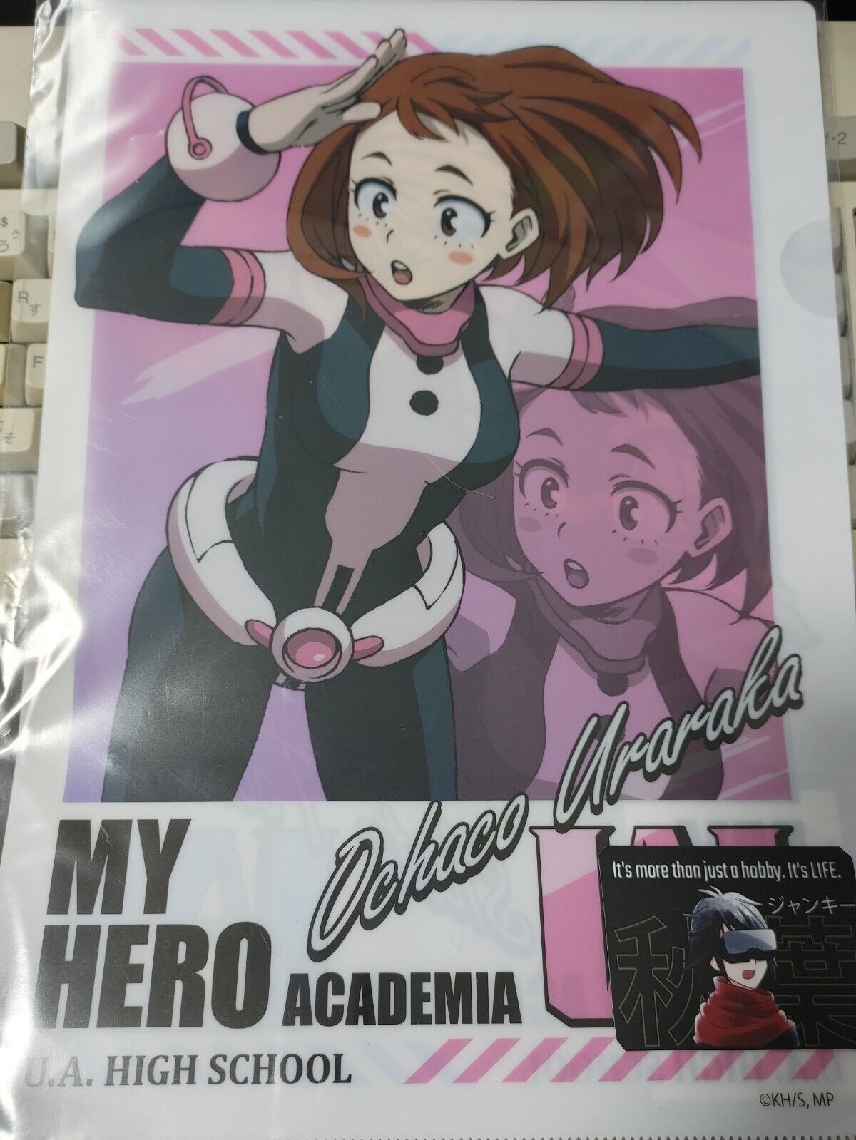 My Hero Academia Shoto Ochaco  Collectible  Design Clear File Design GOODS JAPAN