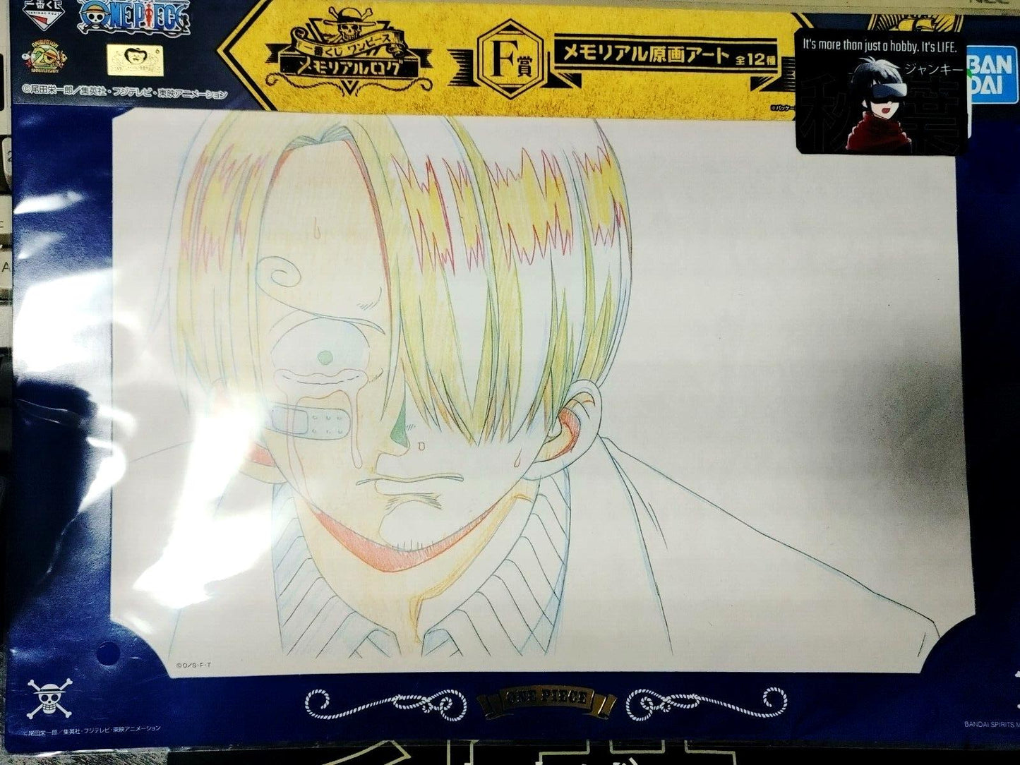 Anime One Piece Animation Cel Print Design Memorial Log F Japan Limited