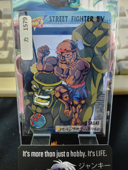 Street Fighter II V Bandai Sagat Carddass Card  Japanese Vintage Japan