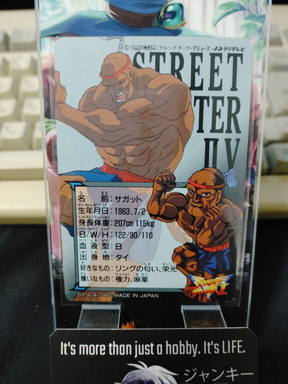 Street Fighter II V Bandai Sagat Carddass Card  Japanese Vintage Japan