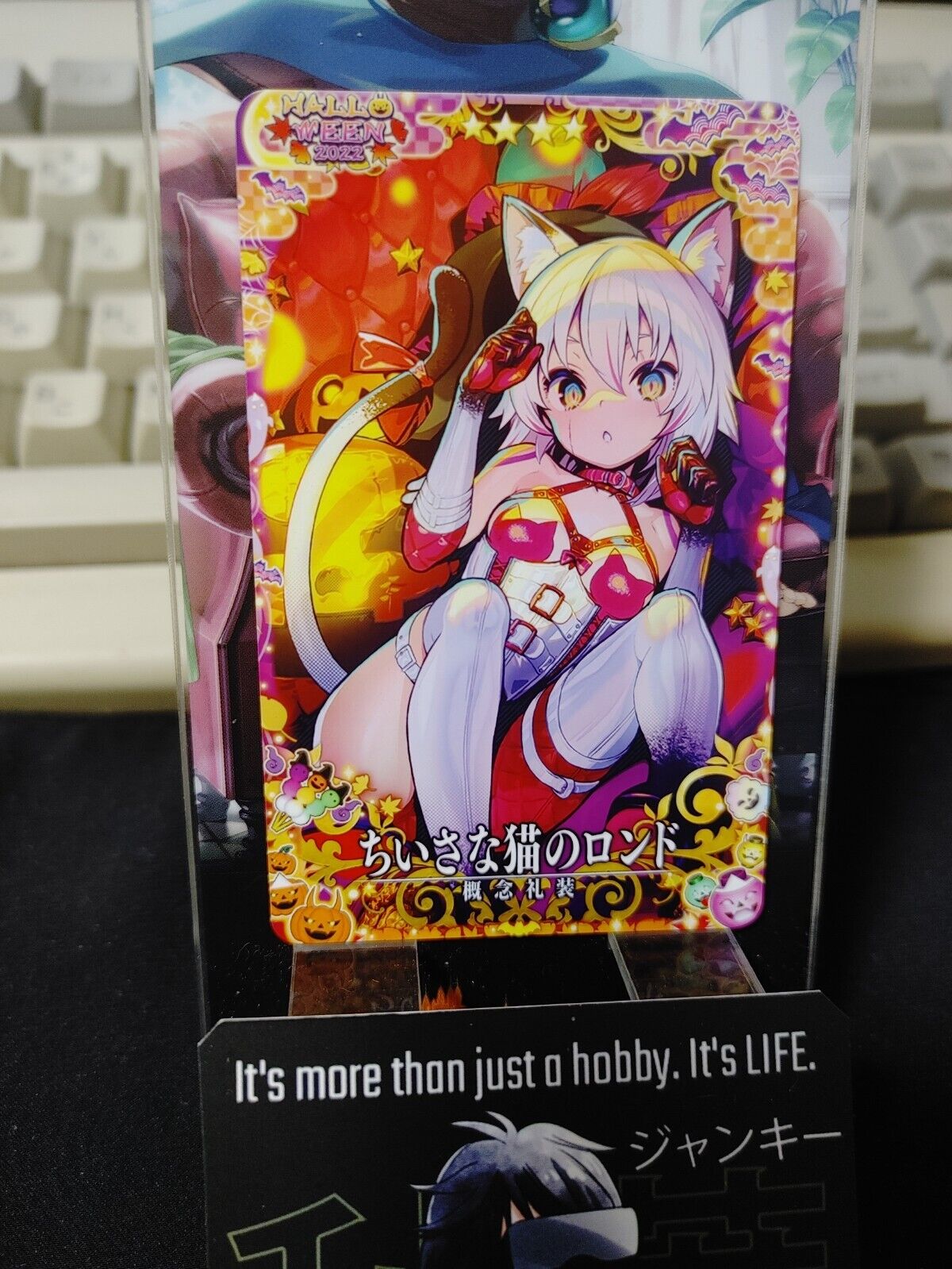 FGO Fate Grand Order Arcade Card Halloween Small Cat Craft Essence Japan Release