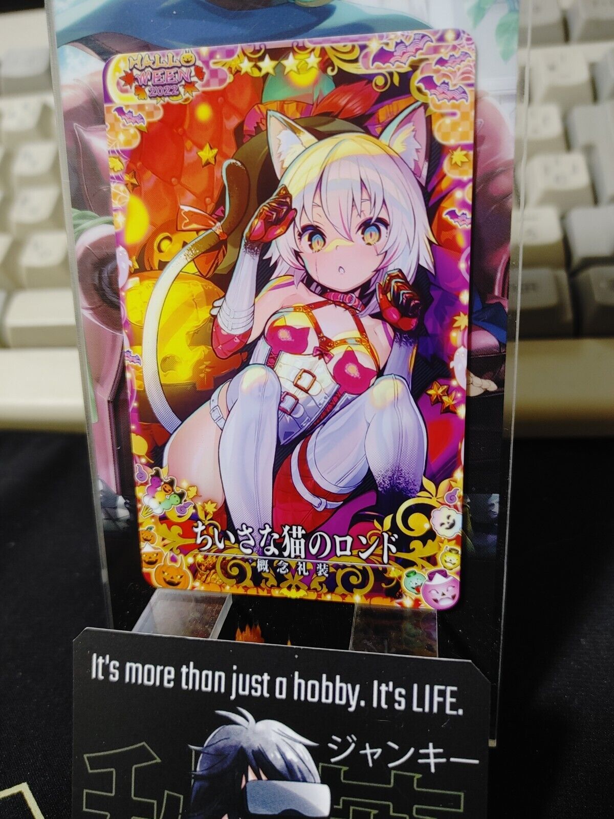 FGO Fate Grand Order Arcade Card Halloween Small Cat Craft Essence Japan Release