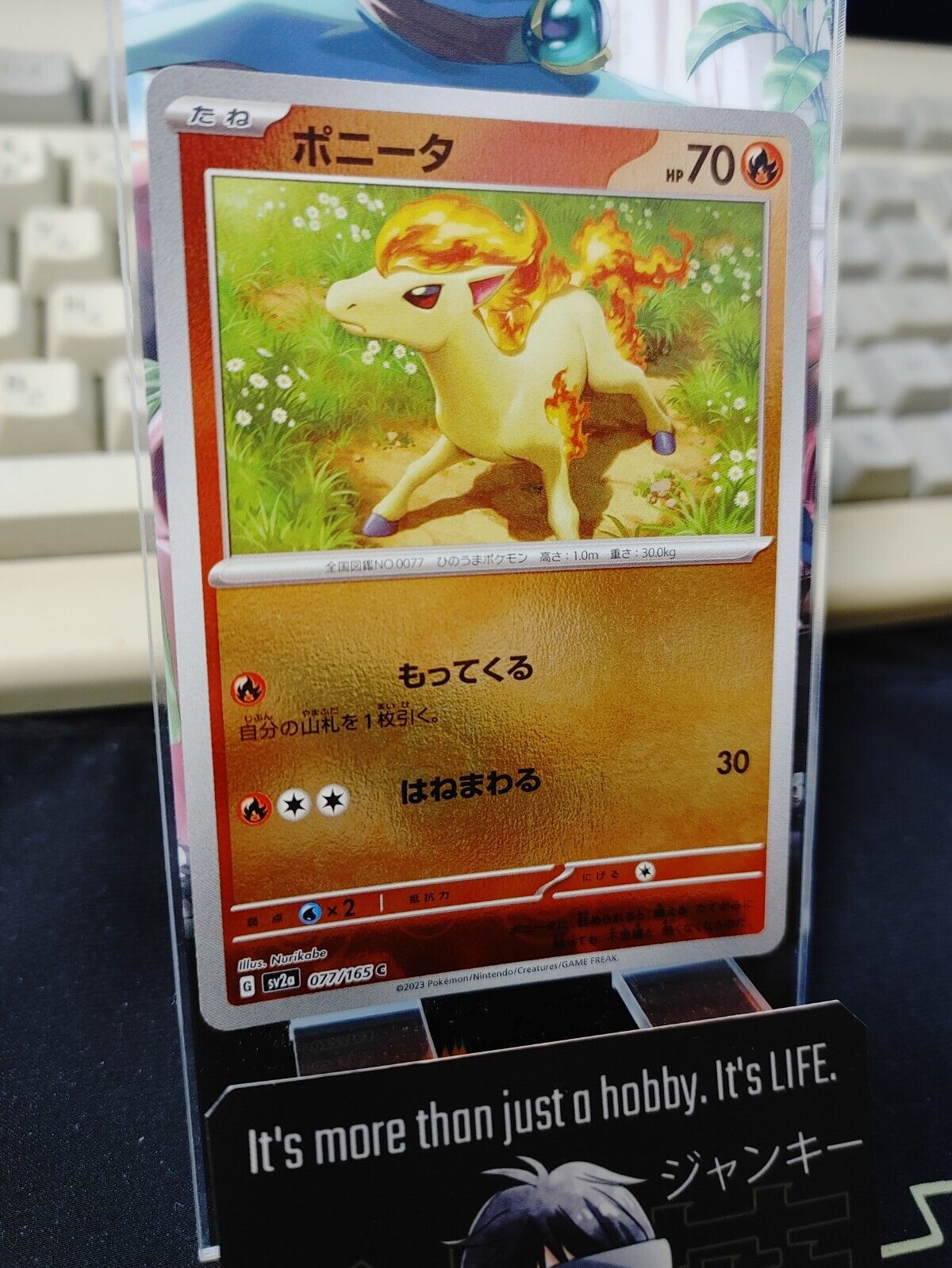 Ponyta Pokemon Card 077/165 SV2a Pokemon 151 Japanese