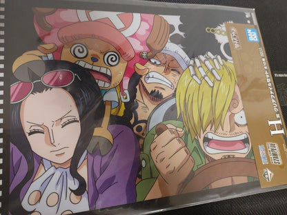 Anime One Piece Animation Cel Print Design File H6 Japan Limited