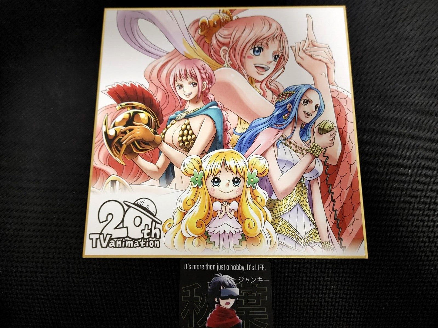 Anime One Piece Animation 20th Art Design Panel Board Shikishi Japan Limited