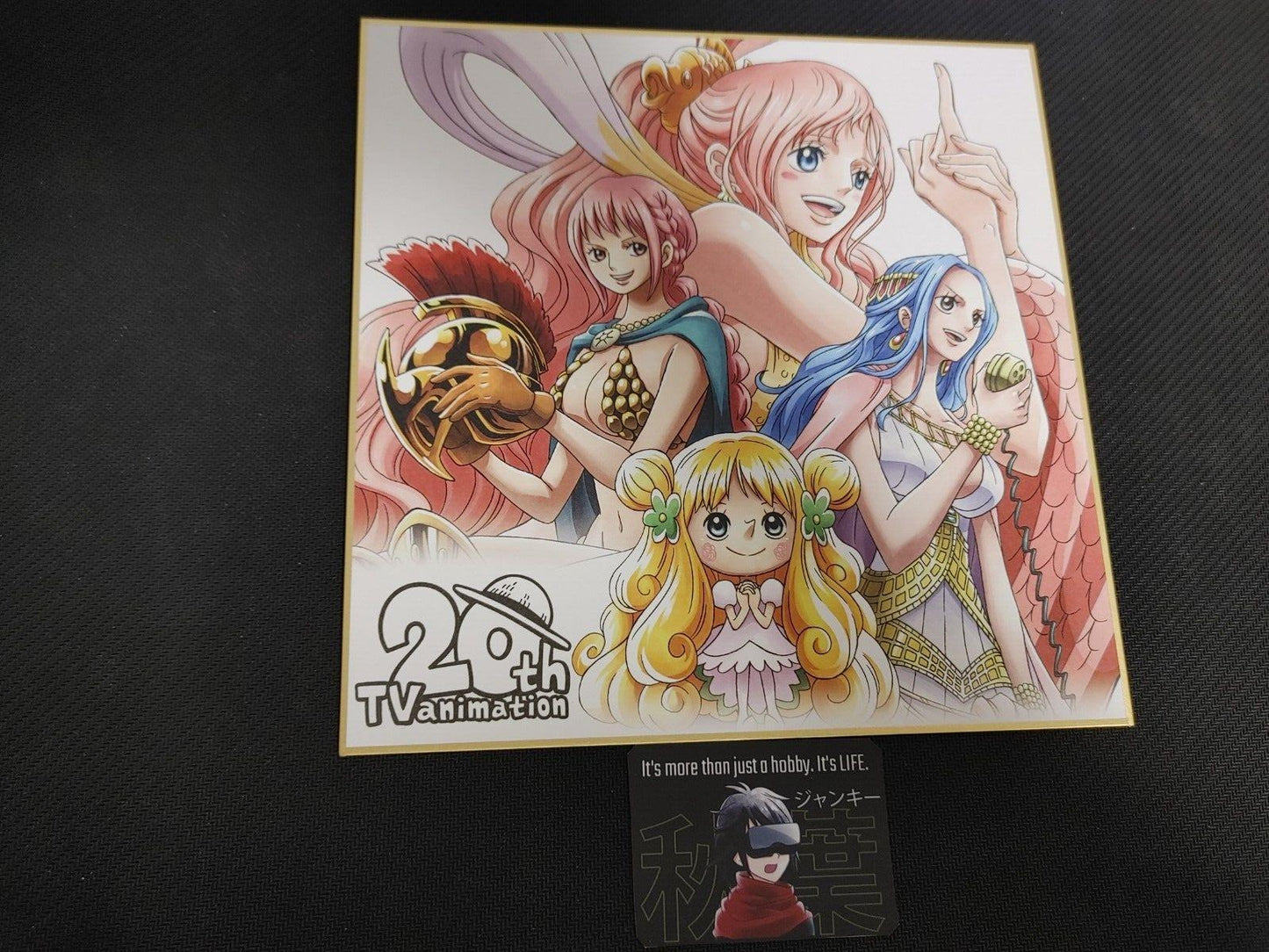 Anime One Piece Animation 20th Art Design Panel Board Shikishi Japan Limited