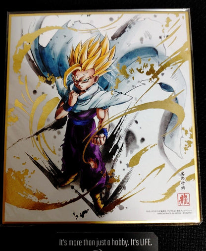 Dragon Ball Z Anime Gohan Art Board Panel Shikishi Japan Limited