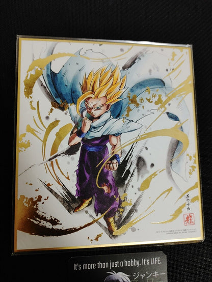 Dragon Ball Z Anime Gohan Art Board Panel Shikishi Japan Limited