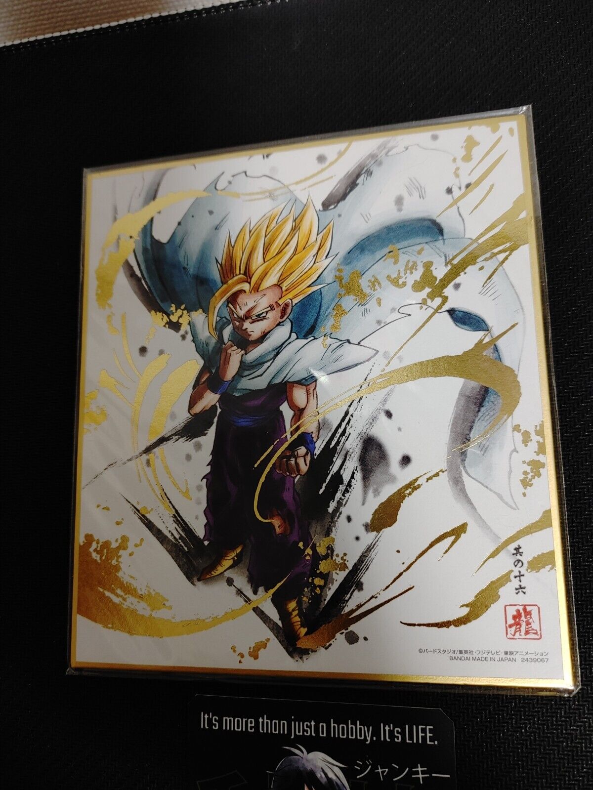 Dragon Ball Z Anime Gohan Art Board Panel Shikishi Japan Limited