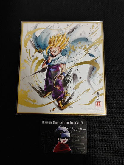 Dragon Ball Z Anime Gohan Art Board Panel Shikishi Japan Limited