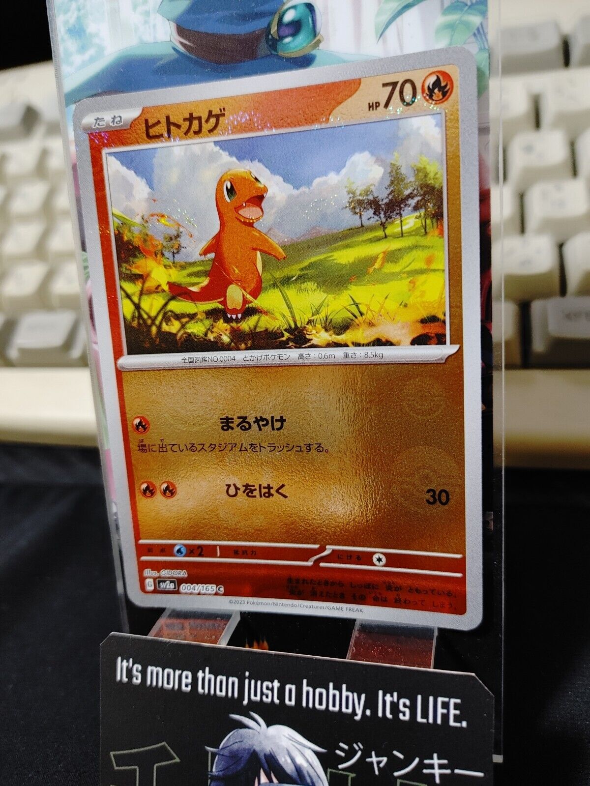 Charmander Reverse Holo Pokemon Card 004/165 SV2a Pokemon 151 Japanese