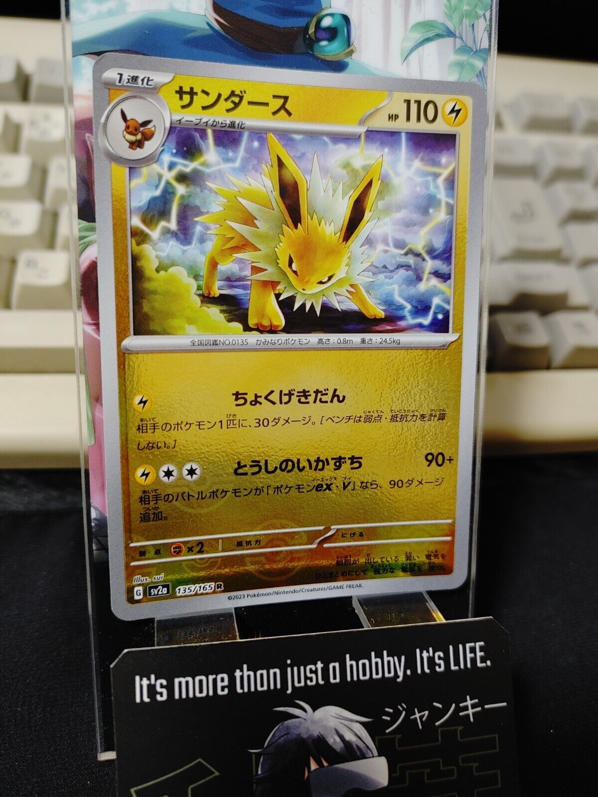 Jolteon Reverse Holo Pokemon Card 135/165 R SV2a Pokemon 151 Japanese