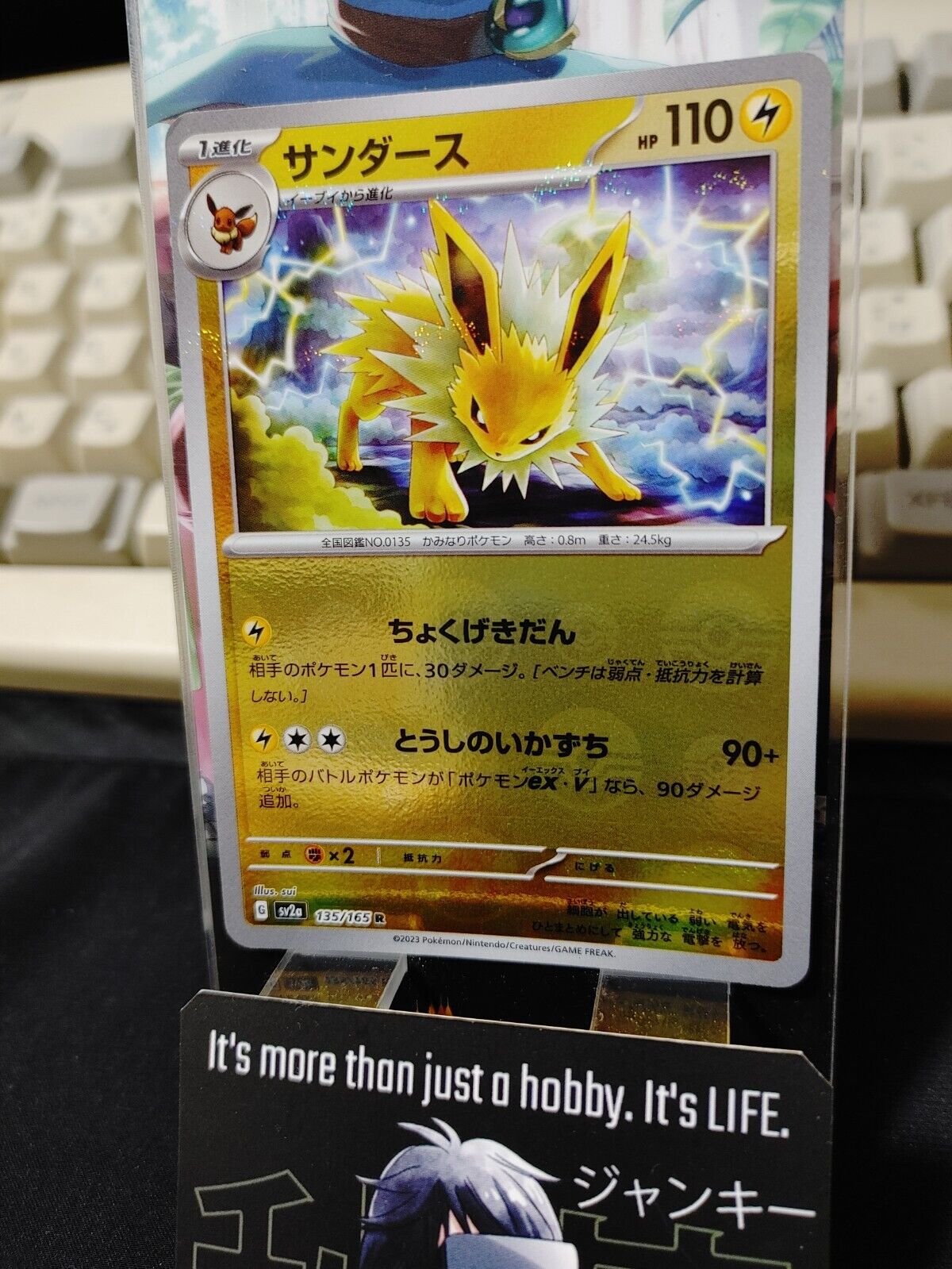 Jolteon Reverse Holo Pokemon Card 135/165 R SV2a Pokemon 151 Japanese