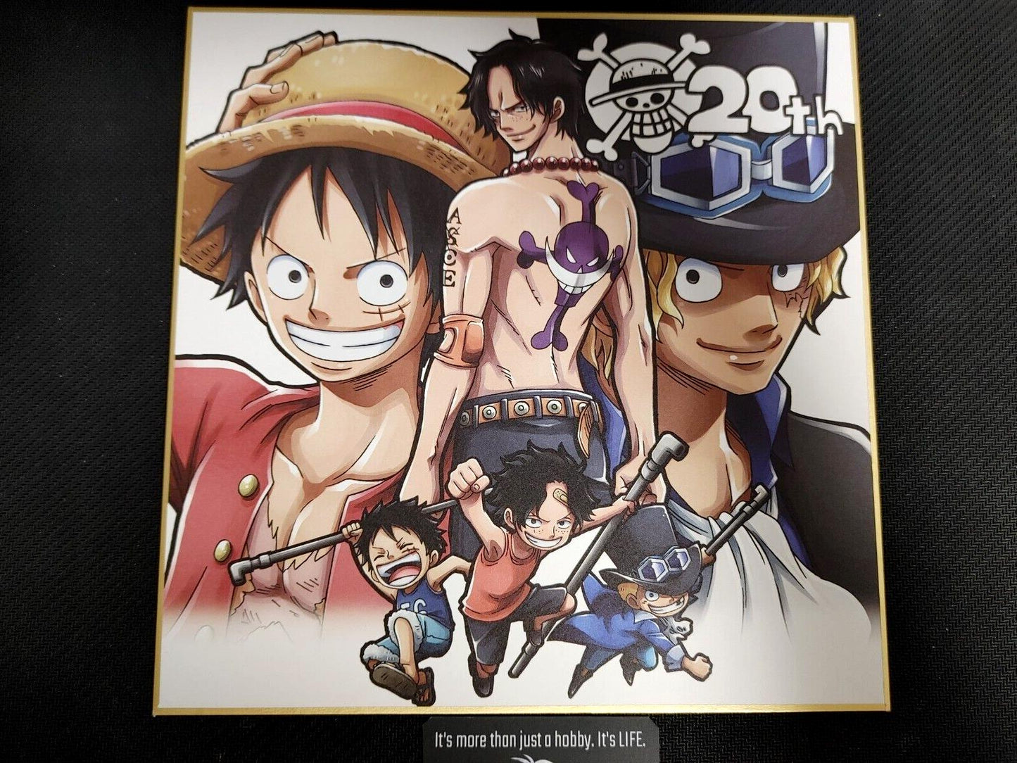 Anime One Piece Animation 20th Art Design Panel Board Shikishi Japan Limited H