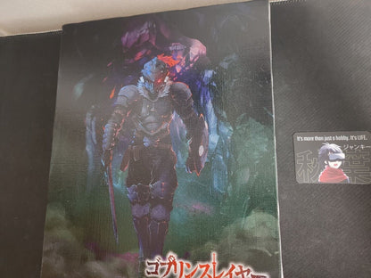 Goblin Slayer Animation Design Art Canvas Display Japan Limited